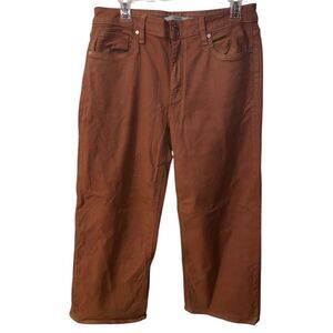 Hudson Rosie High-Rise Wide Leg Ankle Jean Coated Denim Caramel Cafe Size 31